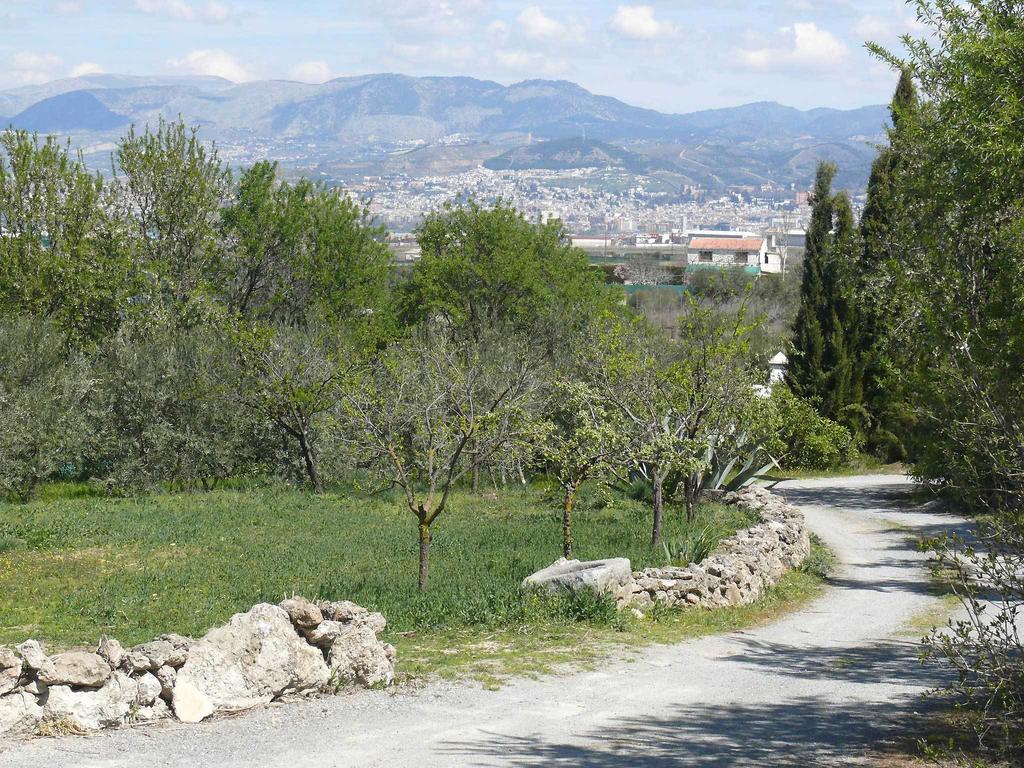 Cortijo Algabia Guest House Alhendin Exterior photo