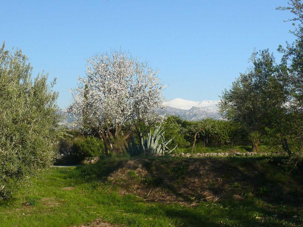 Cortijo Algabia Guest House Alhendin Exterior photo